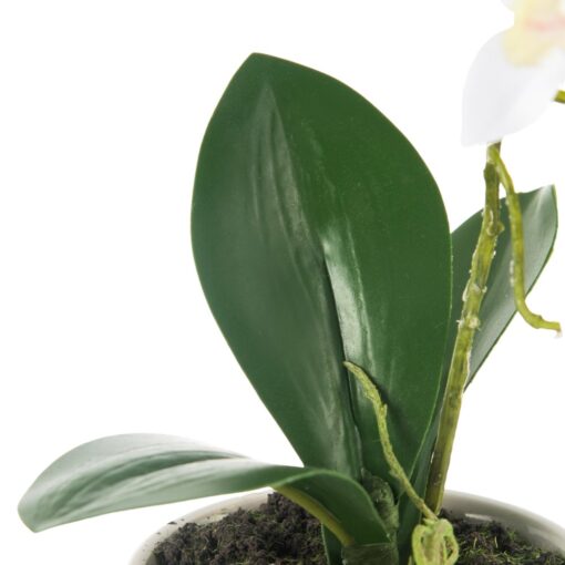 Potted Orchid (H20cm) - Image 5