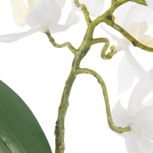 Potted Orchid (H20cm) - Image 6