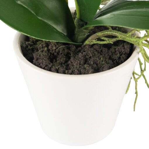 Potted Orchid (H20cm) - Image 7