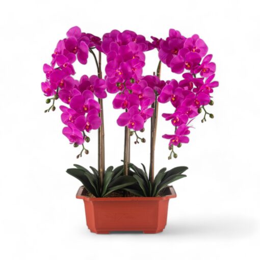 Potted Orchid (H76cm) - Image 7