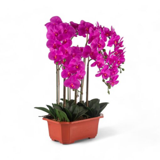 Potted Orchid (H76cm) - Image 6