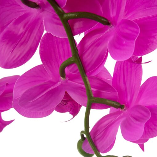 Potted Orchid (H76cm) - Image 10