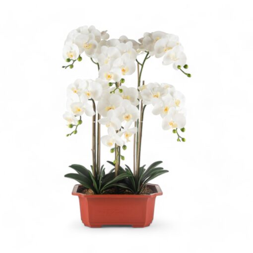 Potted Orchid (H76cm) - Image 2