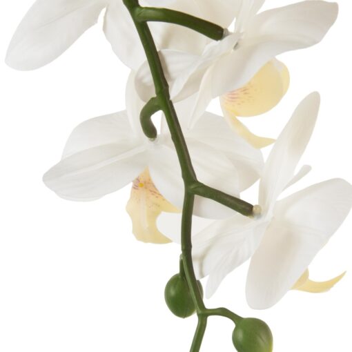 Potted Orchid (H76cm) - Image 5