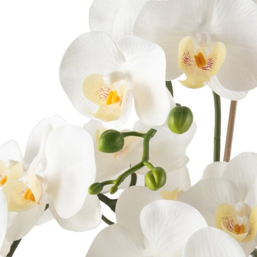 Potted Orchid (H76cm) - Image 4