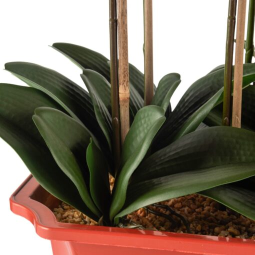 Potted Orchid (H76cm) - Image 12
