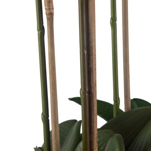 Potted Orchid (H76cm) - Image 11