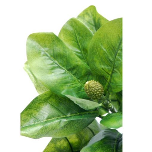 Single Magnolia Leaves (80cm) - Image 2