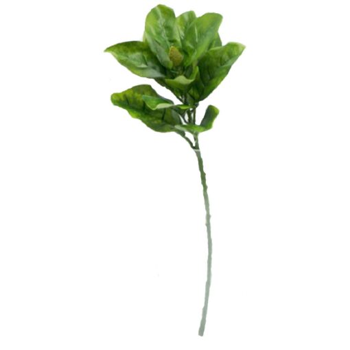 Single Magnolia Leaves (80cm)