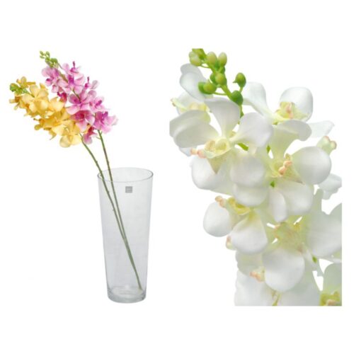 Single Vanda Orchid Spray (80cm)
