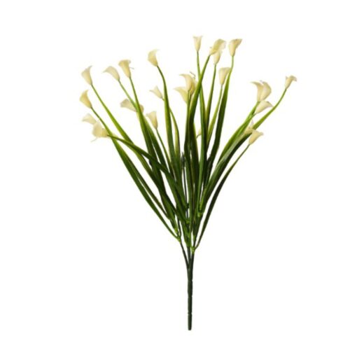 Mini Calla Lily Bush (36cm)