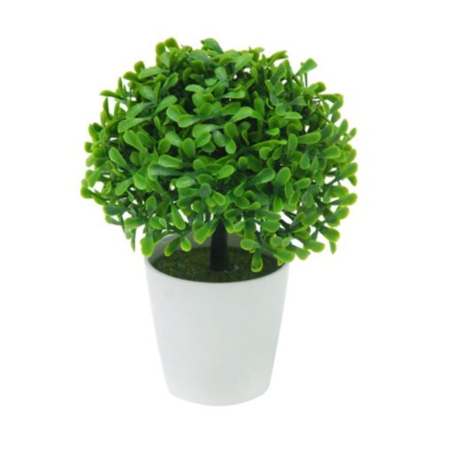 Heber Potted Plant (18cm)