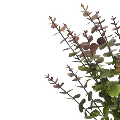 Eucalyptus Spray (80cm) - Image 2