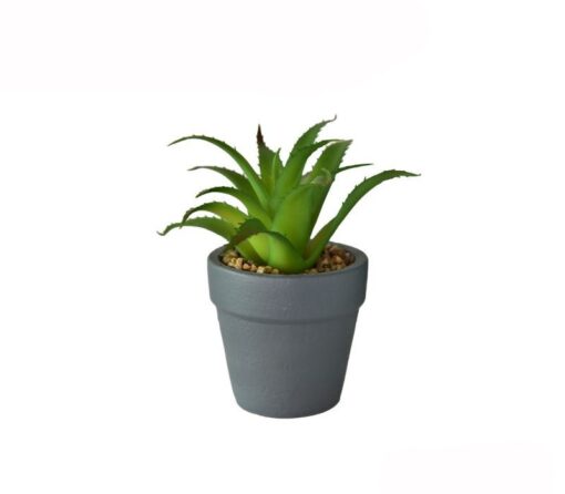 Aniya Artificial Potted Plant (14cm)
