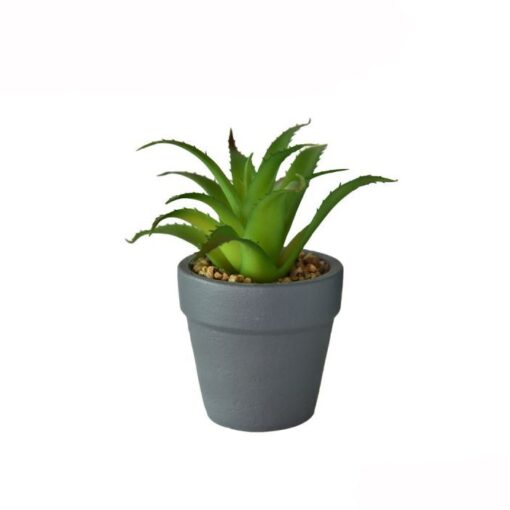 Aniya Artificial Potted Plant (14cm)