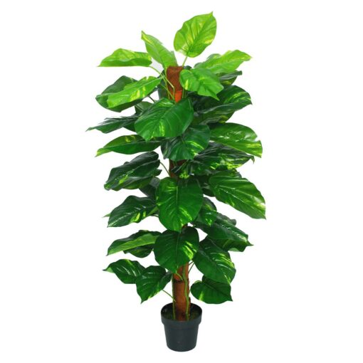 Cik Aida Potted Taro Leaves Tree (150cm)