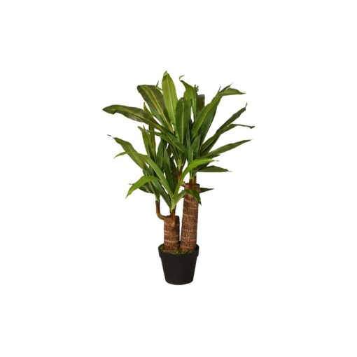 Mei Leng Potted Dracaena Tree (75cm, 115cm) - Image 8