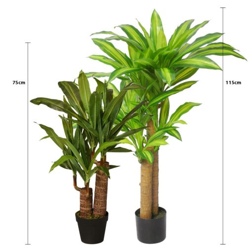Mei Leng Potted Dracaena Tree (75cm, 115cm) - Image 11