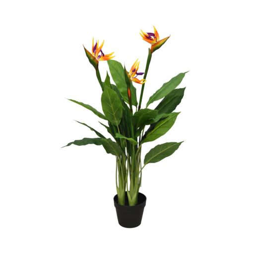 Prabal Bird Of Paradise (105cm, 130cm)