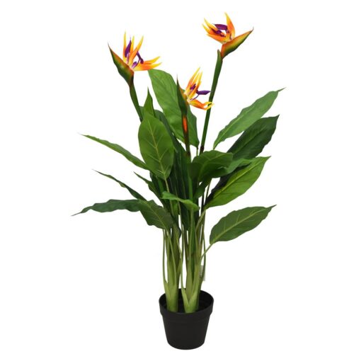 Prabal Bird Of Paradise (105cm, 130cm) - Image 4