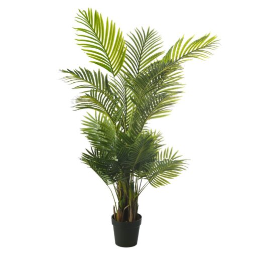 Molly Potted Palm Tree (150cm)