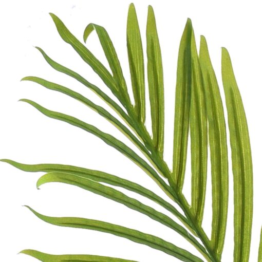 Molly Potted Palm Tree (150cm) - Image 2