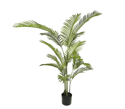 Joellen Potted Areca Palm (150cm, 180cm)