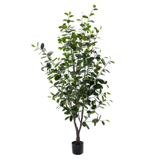 Jayla Potted Ficus Tree (120cm, 180cm)