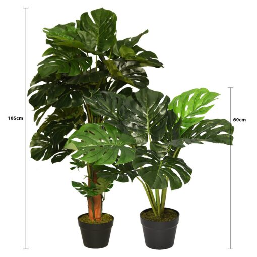 Kak Ngah Potted Monstera (60cm, 105cm) - Image 8