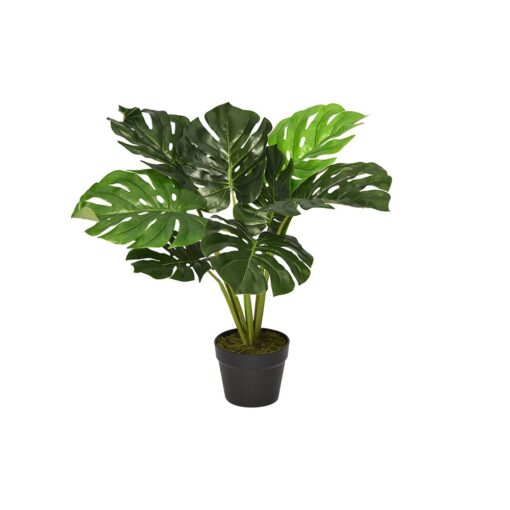 Kak Ngah Potted Monstera (60cm, 105cm)