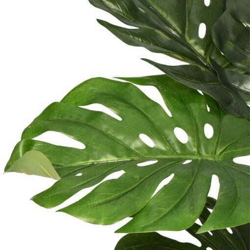 Kak Ngah Potted Monstera (60cm, 105cm) - Image 7
