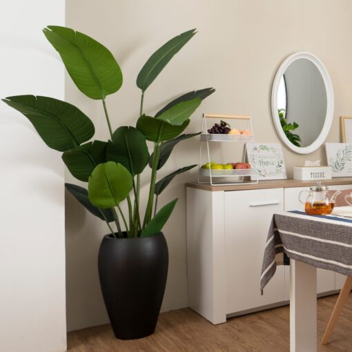 Nora Potted Traveller Palm Tree (180cm) - Image 2