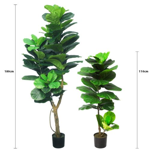 Farah Potted Fiddle Tree (110cm, 180cm) - Image 4