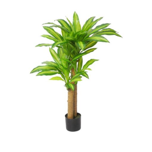 Mei Leng Potted Dracaena Tree (75cm, 115cm)