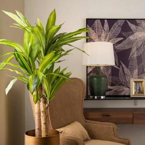 Mei Leng Potted Dracaena Tree (75cm, 115cm) - Image 3