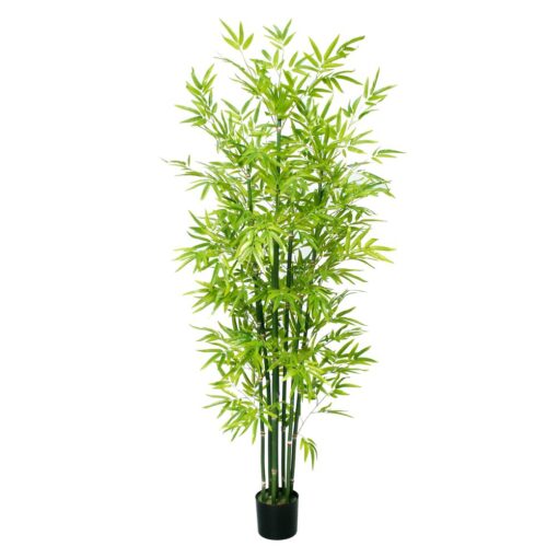 Uncle Chong Potted Bamboo Tree (182cm)