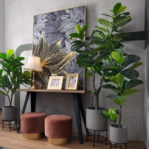 Farah Potted Fiddle Tree (110cm, 180cm) - Image 6