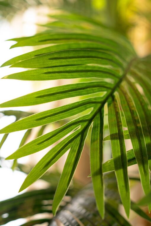 Seri Potted Palm Tree (100cm, 210cm) - Image 4