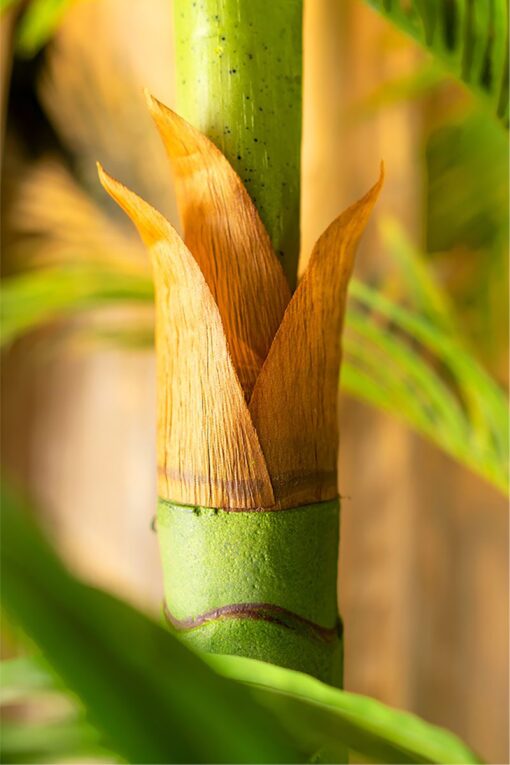Seri Potted Palm Tree (100cm, 210cm) - Image 5