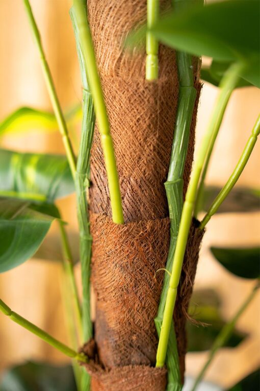Cik Aida Potted Taro Leaves Tree (150cm) - Image 4