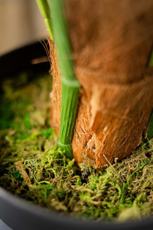 Cik Aida Potted Taro Leaves Tree (150cm) - Image 5