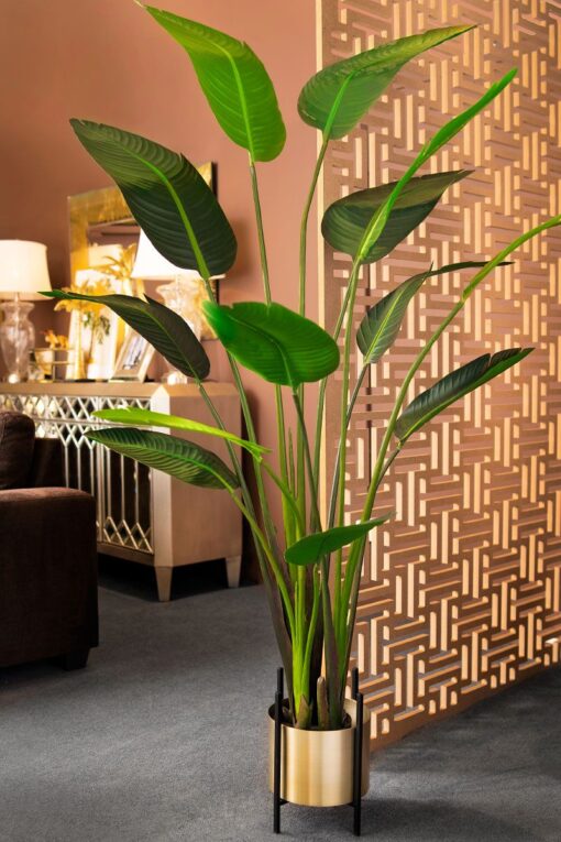Nora Potted Traveller Palm Tree (180cm) - Image 4