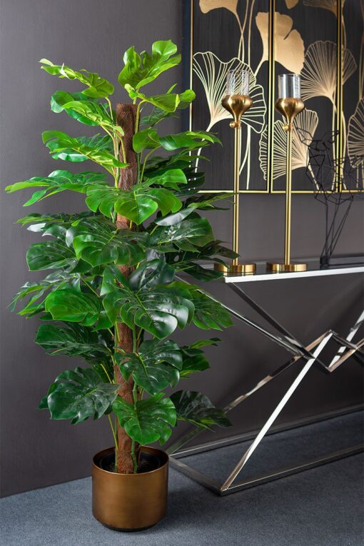 Pak Leo Potted Split Philo Tree (150cm) - Image 2