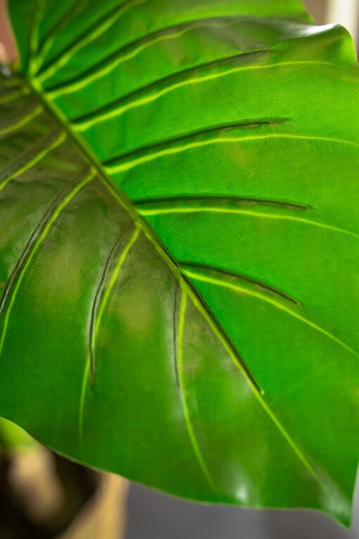 Maureen Potted Taro Leaves Tree (120cm) - Image 3