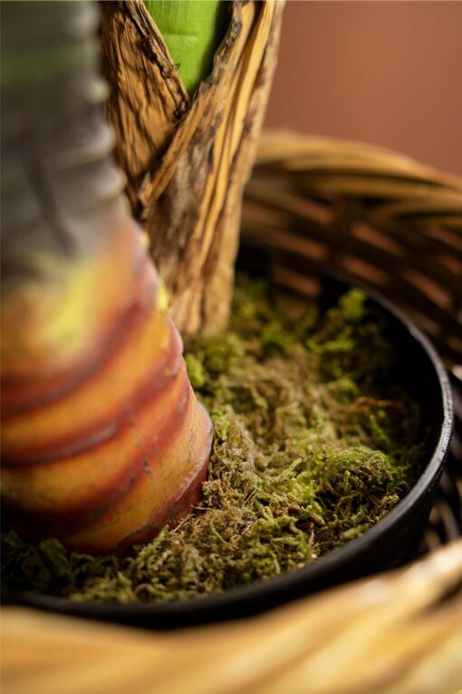 Maureen Potted Taro Leaves Tree (120cm) - Image 5