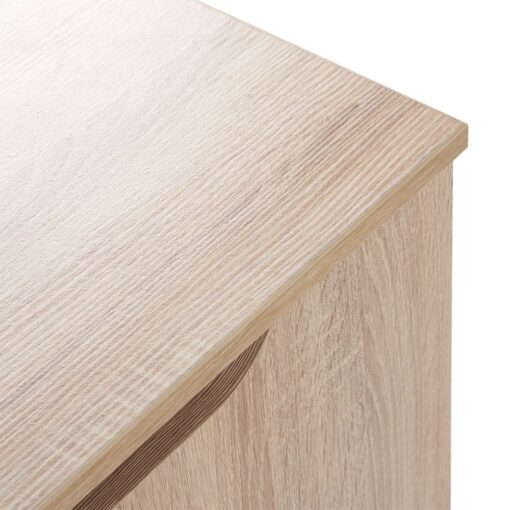 Rustic Scandinavian Shoe Cabinet - Image 8