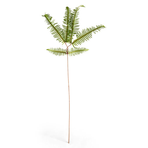 Boston Fern Spray (H86cm)