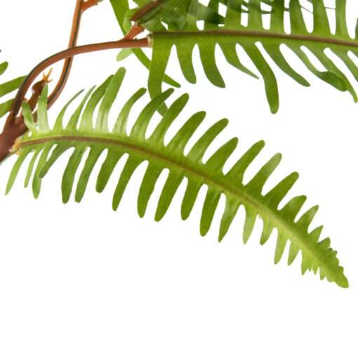 Boston Fern Spray (H86cm) - Image 2