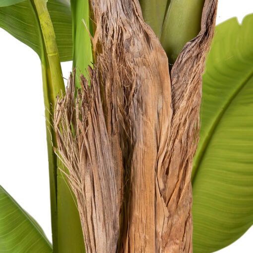 Potted Banana Tree (H120cm) - Image 5