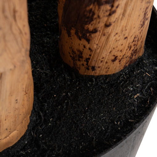 Potted Banana Tree (H120cm) - Image 7